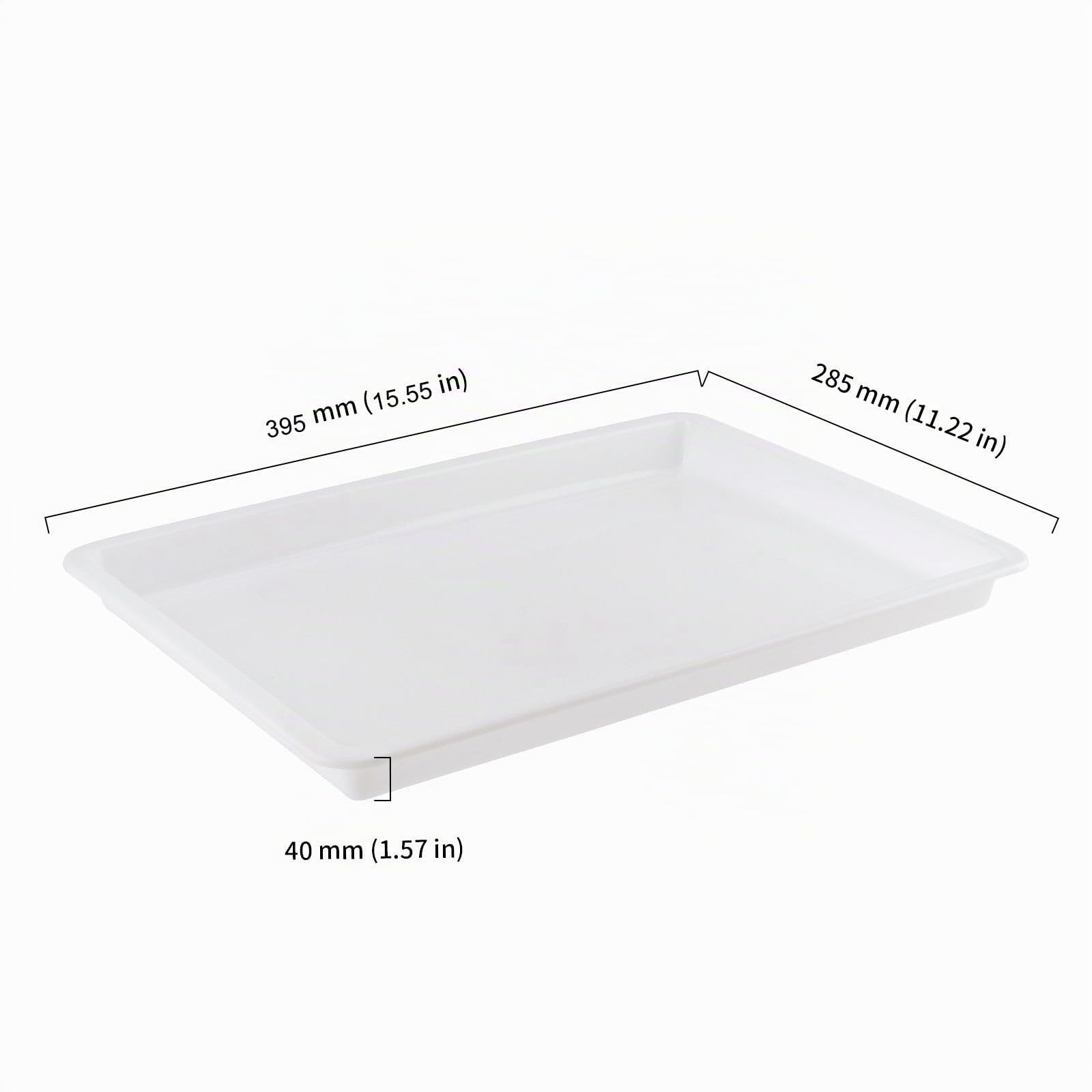 10 vassoi plastic per attività artistiche e artigianali, scuola e casa, progetti fai-da-te, pittura, perline, organizzazione forniture
