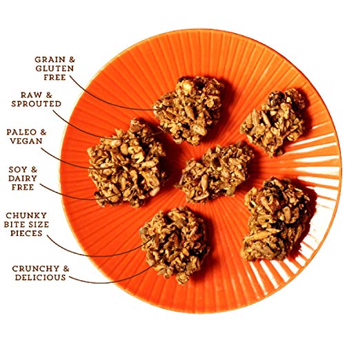 Lark Ellen Farm Granola Bites - Pumpkin Fig, 8 Ounce (Pack of 1)