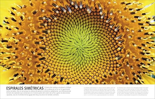 El Libro de Las Flores Y Los Árboles (Our World in Pictures: Trees, Leaves, Flowers & Seeds)
