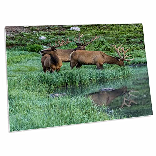 3dRose USA Colorado Rocky Mountain National Park Desk Pad miniatura 1