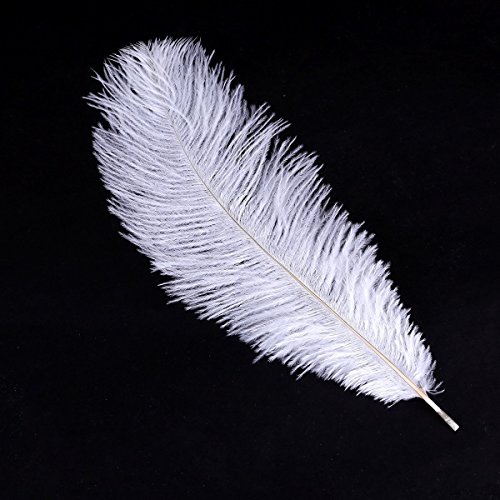 TOOGOO SODIAL (R) 20 x naturale piuma di struzzo