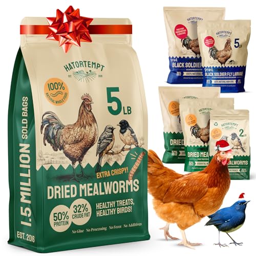 Hatortempt Dried Mealworms - 5 Lb, Non-GMO & Organic - High-Protein Mealworms for Wild Birds & Ducks, Chicken & Bird Food