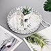 Feyarl Mirrored Crystal Vanity Makeup Round Tray Ornate Jewelry Trinket Tray Organizer Cosmetic Perfume Bottle