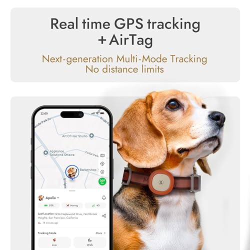 Image of Molly&Cody GPS + Bluetooth Pet Tracker for Cats & Dogs - Real‑Time Tracking, Virtual Fence, IP67 Waterproof, Up to 60‑Day Battery, Health Monitoring, iOS /Android - Subscription Required (Gold)
