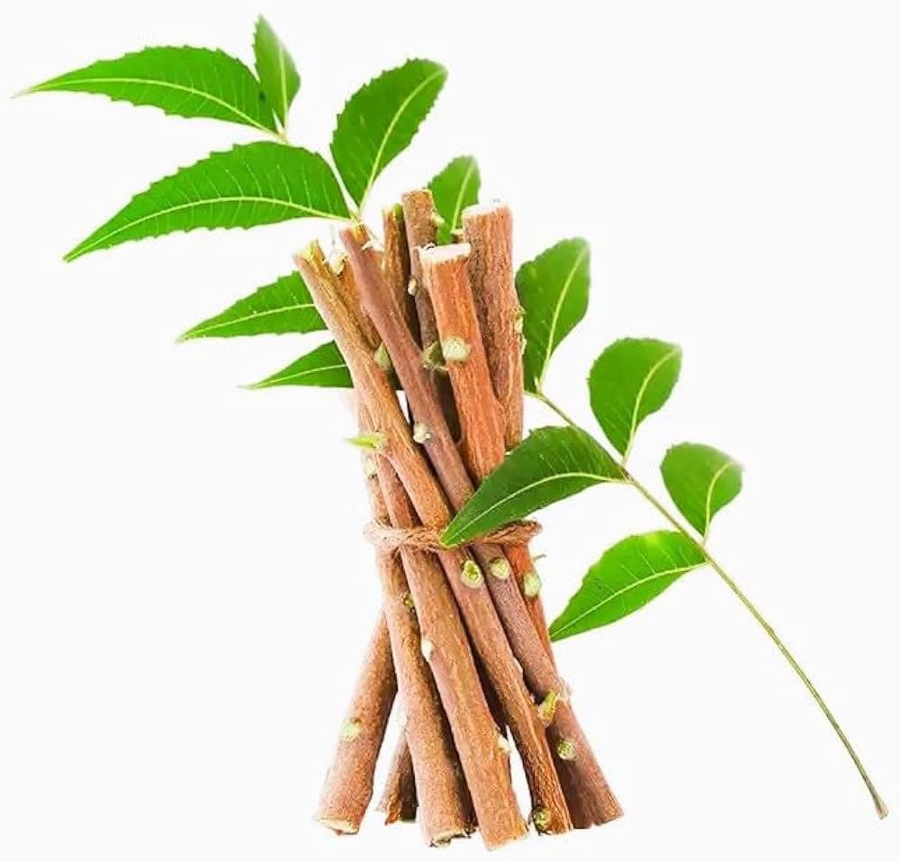 Neem Healthy Stick Herbal Neem Tooth Care Twig for Oral Hygiene and Gum Massage, 6-8 Inch (20 Healthy Stick)-image-48