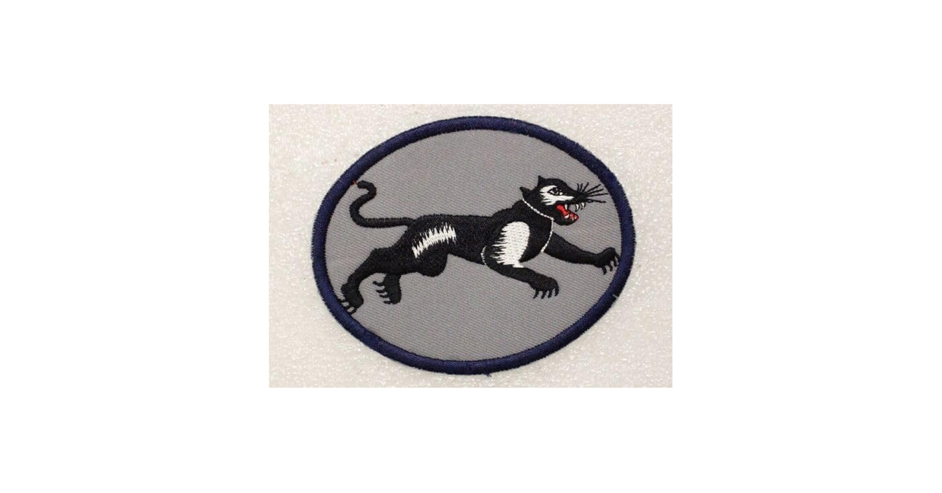 Amazon.com: 35Th Fighter Squadron - USAF Air Force Patch