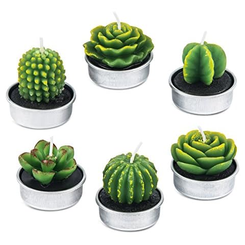 AMASKY Handmade Cactus Candles for Home Decoration and Special Occasions Cover