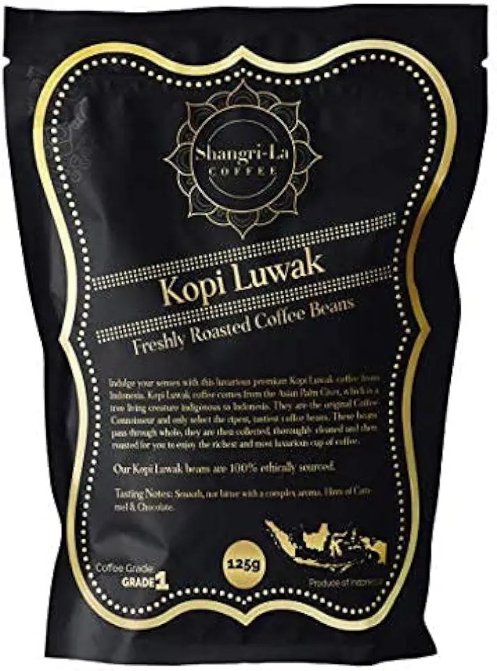 Kaffebönor Kopi Luwak Etiskt Framställda
