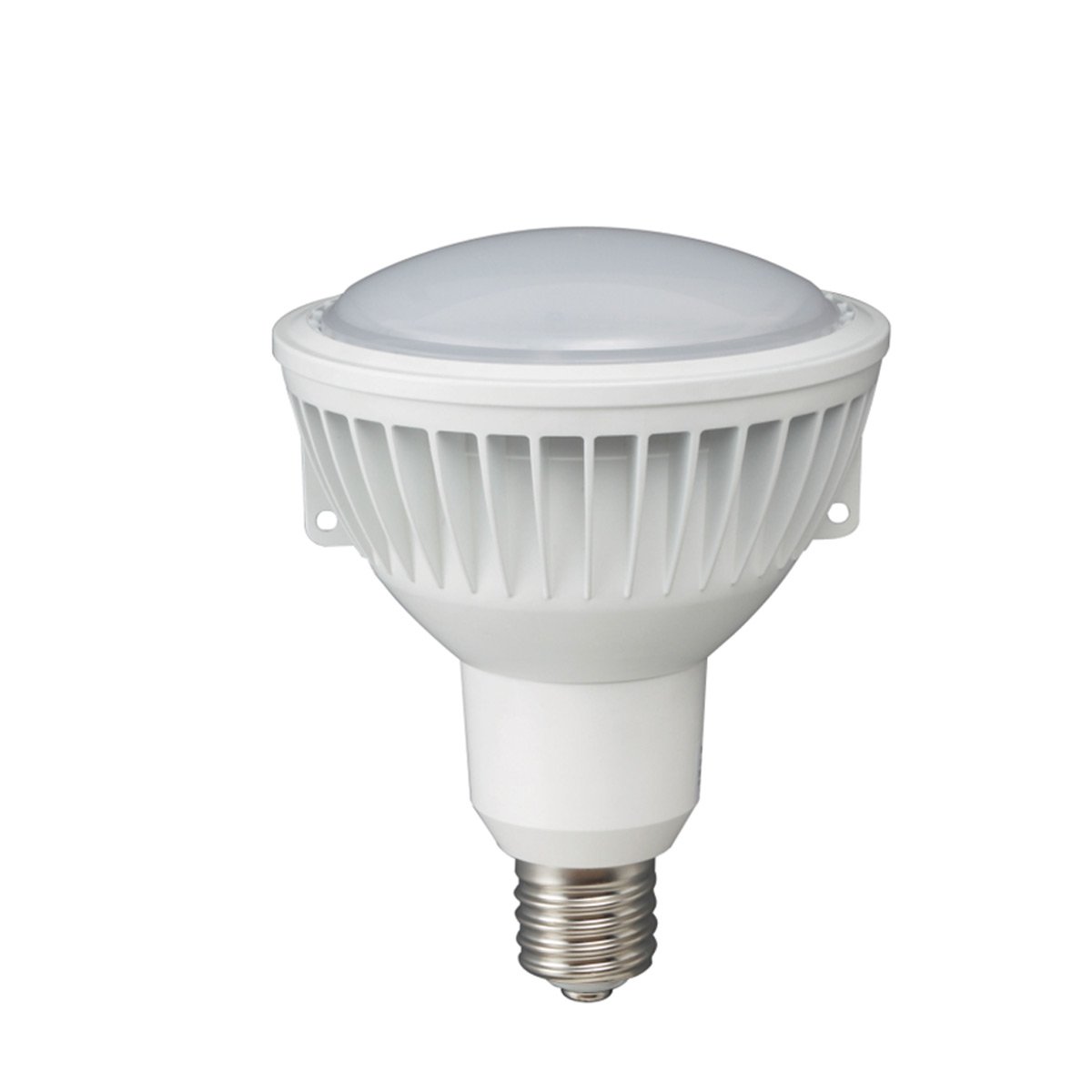 HATAYA 42W LEDランプ LED-42WW Amazon | ハタヤ(HATAYA) 42W LED球(RXL型作業灯用) LED-42WW | 作業灯