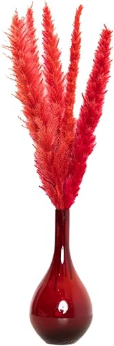 Miniatura 7 de Hierba natural de las pampas para decoración del hogar, 15 tallos completos y esponjosos, hierbas reales altas de 15.7 in para decoración de sala de