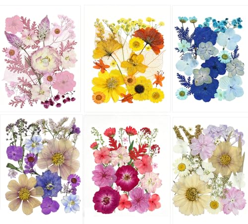 120 hojas y flores prensadas secas para manualidades miniatura 1