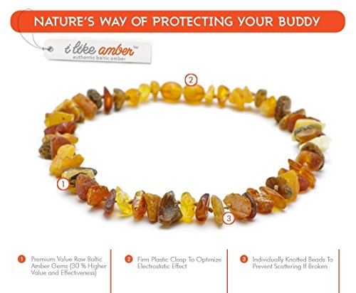 ilikeamber.com Bernsteinkette Hund, Zeckenschutz Katze & Hund, Bernsteinkette für Hunde & Katzen, 100% Baltischer Bernstein, Dog Collar
