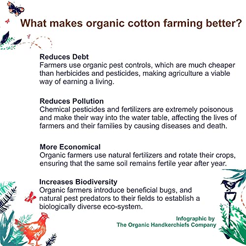 The Organic Handkerchiefs Company Set of White Organic Cotton Hankies