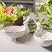 Easter-Decorations - Candy Dish Bowl - Candy Server - Nut Dish - Easter Bunny Bowl Ceramic Snack Serving Dish with Rabbit White Tabletop Decor Framhouse Home Décor 7x3.75x4.25 Inch Newman House Studio