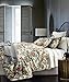 Eikei Home Chinoiserie Chic Peacock Floral Duvet Cover Paradise Garden Botanical Bird and Tree Branches Vintage Stylized Long Staple Cotton Bedding Set (Queen, Autumn Red)