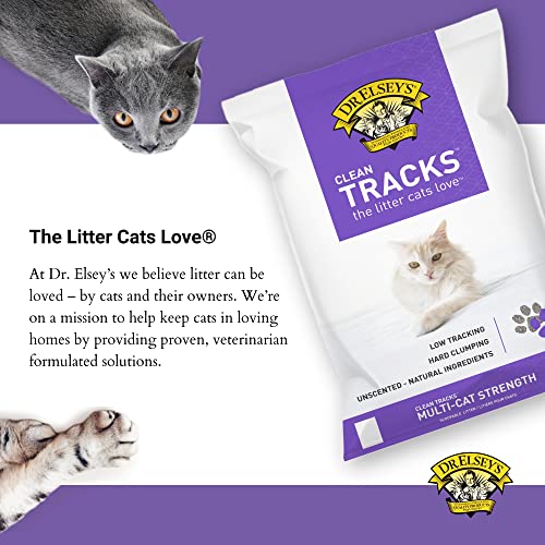 Dr. Elsey's Premium Clumping Cat Litter - Clean Tracks - Low Dust, Low Tracking, Hard Clumping, Superior Odor Control, Unscented & Natural Ingredients 40 Lbs #TOP6