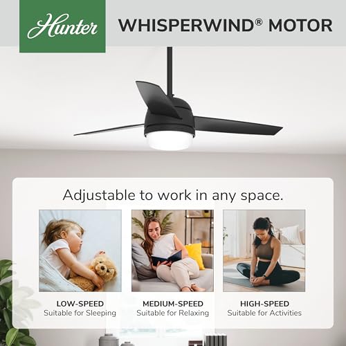 Image of Hunter Midtown, Indoor, Ceiling Fan, Standard Mount, 48 inch, Matte Black