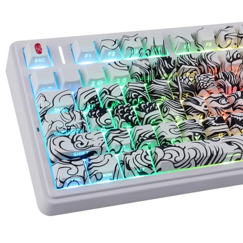 Lot de 138 touches personnalisées Sunzit en PBT blanc de haute densité
