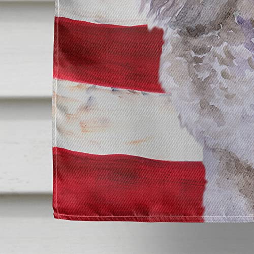 Canvas house size drapeau Poodle de qualité supérieure multicolore