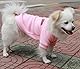 HuaLiSiJi Hundepullover Fleece Kleine Hunde Hoodie Chihuahua Kleidung Hundepullover Chihuahua Hunde Sweatshirt, Warm und Leicht, mit Einer Weichen Textur, Leicht zu Tragen (XS, Rosa)
