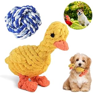 Baumwoll Hundeseile Set,Welpenspielzeug ,2 Stücke Hunde Spielzeug aus Seil,Hundespielzeug Kauspielzeug ,Seil Welpenspielzeug,h Vorteilhaft ​Hundes zur Zahnreinigung