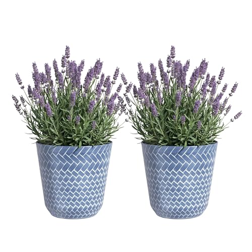 SG Traders Nantucket Plant Pot - Flower Planters Outdoor, Large Garden Plant Pots Elegant Design, Versatile Pots and Planters for Your Outdoor to Enhance The Garden (Pack of 2)