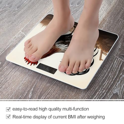 Báscula Digital de Baño Rooster Alta Precisión Compacta miniatura 5