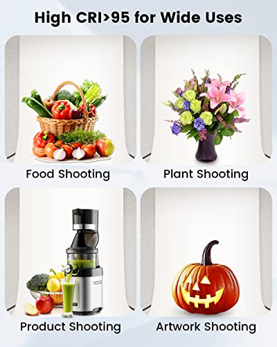 image for Fasonic 24