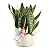 WONDHOME Rabbit Flower Pot Succulent Planter Garden Pots, Decorative Flower Pot,Animal Shaped Cartoon Planter Pots,Art Decorations