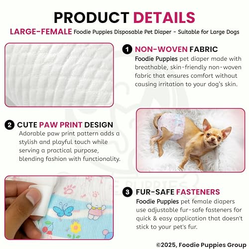 Image of Foodie Puppies Dogs Disposable Diapers for Female Dog - (10Pcs, Large) | Diaper Pants /Sanitary Cotton Underwear Nappy | Leak-Proof, Ultra-Absorbant | Daily and Travelling Purpose
