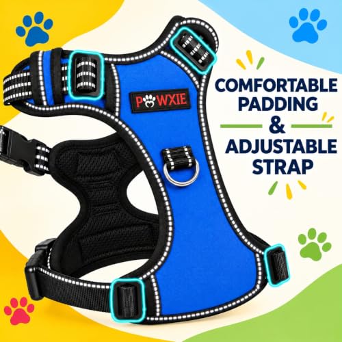 Image of No Pull Dog Chest Belt Harness, Comfortable & Adjustable Size for 35+ Kg Pet (Blue, Extra-Large)