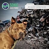 Sonic Culture Production Music / BMG Production Music