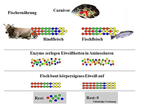 JBL Gala 40432, Premium alleen voer voor aquariumvissen, vlokken, 1 l - Afbeelding 6