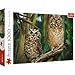 Trefl TR10603 Eulen 1000 Teile, Premium Quality, für Erwachsene und Kinder ab 12 Jahren Puzzle, Mehrfarbig
