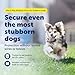 PetSafe Stay & Play Wireless Pet Fence for Stubborn Dogs - No Wire Circular Boundary, Secure 3/4-Acre Yard, for Dogs 5lbs+, America's Safest Wireless Containment System