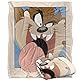 LOONEY TUNES Silky Touch Kuscheldecke, superweich, 152 x 127 cm
