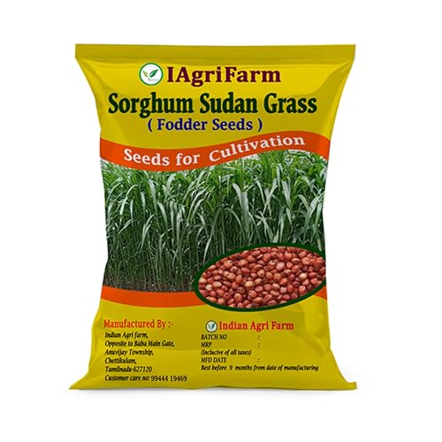 Image of lagrifarm Sorghum Sudan Grass Seeds - 1 Kg - Multi Cut Fodder Seeds for Forage, Hay, Pasture, Silage