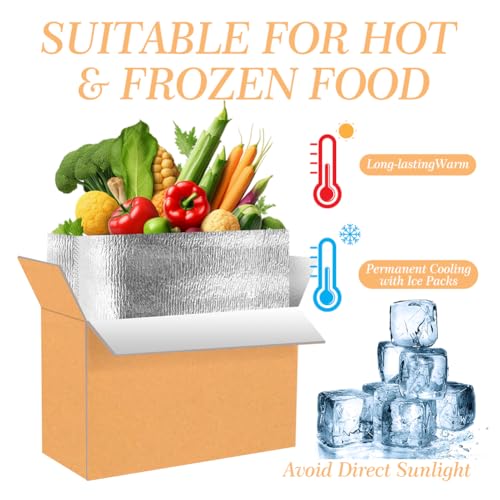 Image of 2 Pack Insulated Shipping Boxes with Aluminum Foil Liner for Frozen Food