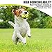 EXPAWLORER Dog Squeaky Tennis Balls for Dogs, 12 Pcs Interactive Dog Ball for Pet Outdoor Playing and Training 2
