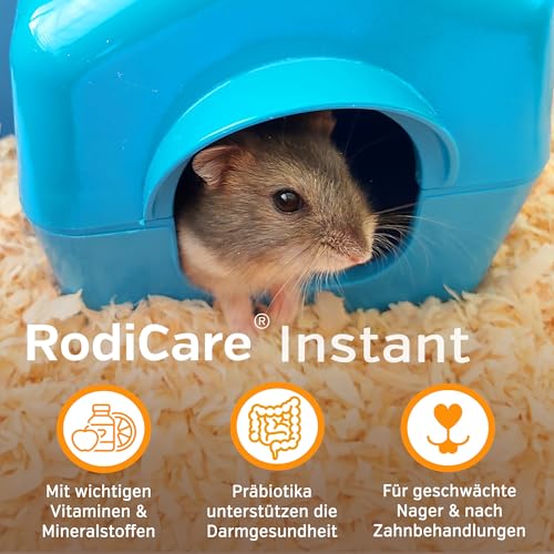 Alfavet RodiCare instant Päppelfutter für geschwächte appetitlose Zwergkaninchen, Meerschweinchen, Kleinnager, Alleinfuttermittel mit gesunden Kräutern, 170 g mit Dosierlöffel