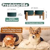 Hundenapf Set Erhöht Hunde Napfset - Doppel Napf Hund Keramik mit rutschfestem Ständer - Erhöhte Futterstation Hund 2er Set für Futter und Wasser - Ideal für kleine und mittelgroße Hunde - 2 x 850 ml