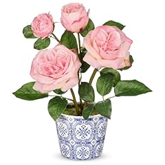 Rose 3 - Pink (13.4inch)