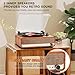 Vinyl Record Player with Speakers,3 Speed Turntable with Latest Bluetooth 5.3, Aux Input, Headphone Jack, RCA Output and Auto Stop, Mirror Vintage Wooden Brown