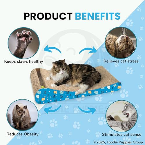 Image of Foodie Puppies 2-in-1 Reversible Cat Scratcher Pad with Catnip for Cats & Kittens, (Slider Bell 51 x 23 x 9 cm) | Durable Corrugated Cardboard Cat Scratching Pad for Furniture Protection, Play & Rest