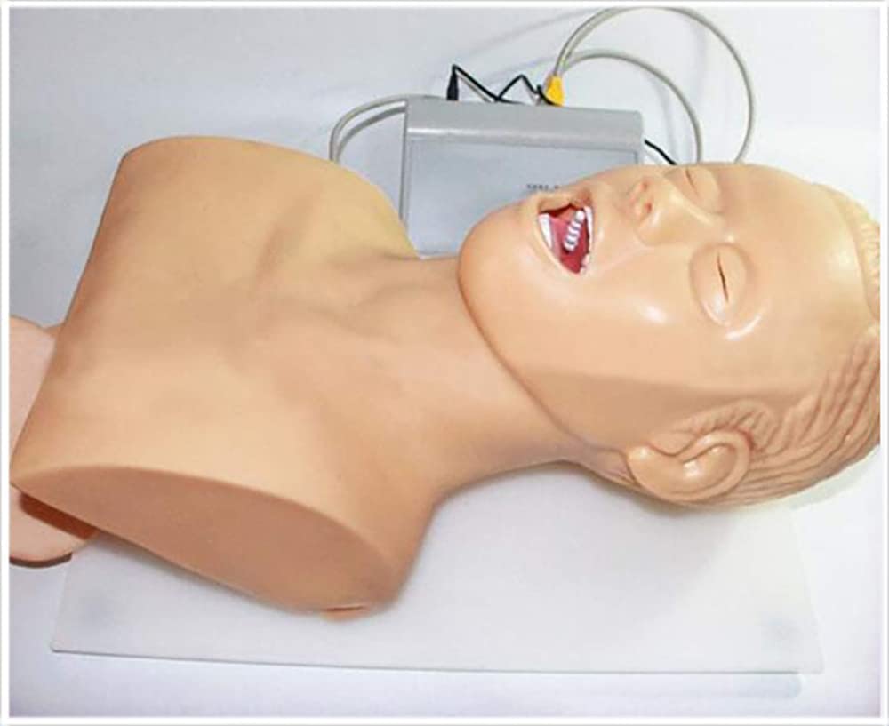 Intubazione Tracheale modalità Simulatore Manichino per Intubazione Modello Didattico Trainer per La Gestione delle Vie Aeree di Education Demo