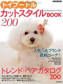 プードルさま専用 京都】杉本 奈美(すぎもと なみ)ブリーダー｜みんなのブリーダー