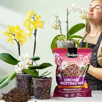 Omitgoter Organic Orchid Potting Mix 4qt, Mixture of Orchid Bark and Perlite, Specifically Formulated for Orchids