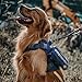 OneTigris Tactical Dog Harness Vest,No-Pull Service Dog Vest with Hook & Loop Panels,Adjustable Dog Vest Harness for Walking Hiking Training(Blue,M)