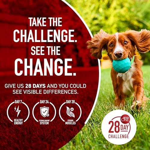 Purina ONE Dry Dog Food Lamb and Rice Formula - 31.1 lb. Bag — view 11