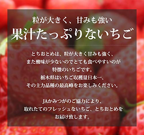 スカイベリー2パック・JAかみつが